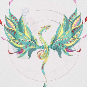 Programe Broderie/ Digitizare